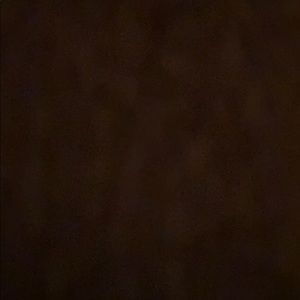 Meet your Posher, Lyndsay